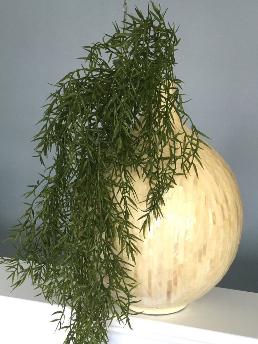 Pottery Barn Mother of Pearl Shell Round Decorative Vase Pot Abalone Farmhouse